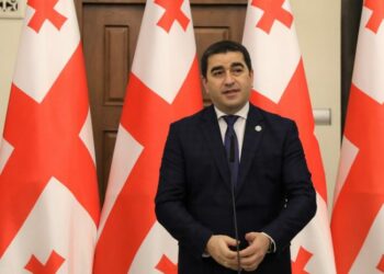 საზოგადოებამ ერთი დასკვნა უკვე გამოიტანა, საქართველოს გაუმართლა, რომ ისტორიის ამ ეტაპზე “ოცნებაა” ხელისუფლებაში – პაპუაშვილი