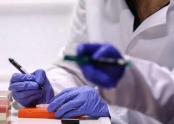 ჯანმოს ცნობით, მსოფლიო ახალი “დენგე” ვირუსის საფრთხის წინაშეა