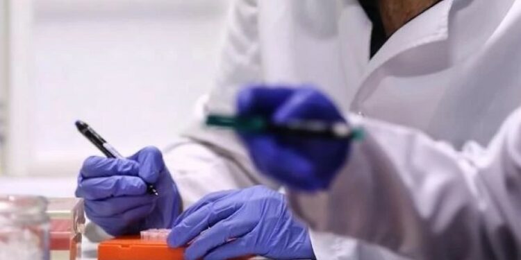 ჯანმოს ცნობით, მსოფლიო ახალი “დენგე” ვირუსის საფრთხის წინაშეა