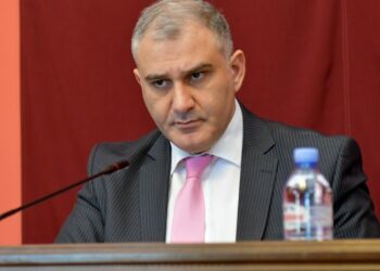 თუ გადარჩა ადამიანი განაპირა მხარეს, ტალახის მასაზე რატომ უნდა გადასულიყო არ ვიცი – სარჯველაძე