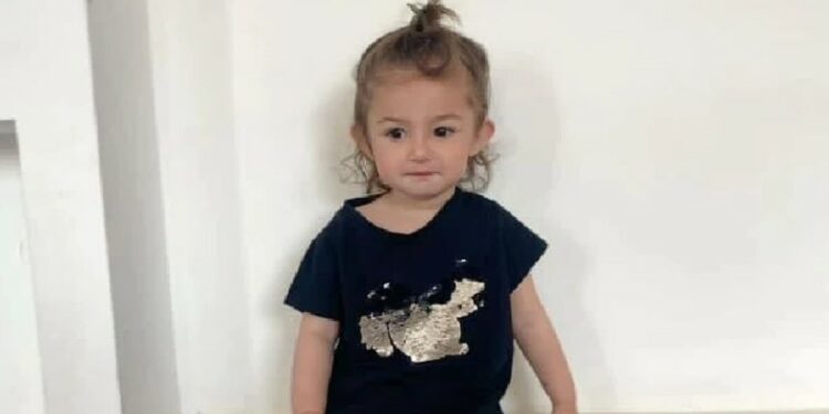 3 წლის თაია ზოიძეს, რომელიც კომაშია, საზოგადოების დახმარება სჭირდება