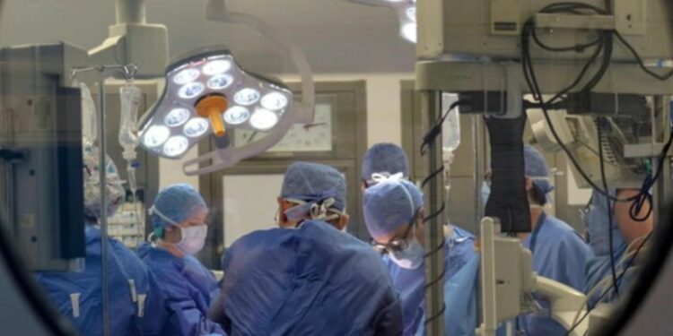 კრაზანის ნაკბენით გარდაცვლილი 9 წლის ბიჭის ორგანოები სხვა პაციენტებს გადაუნერგეს და 5 ადამიანის სიცოცხლე იხსნეს