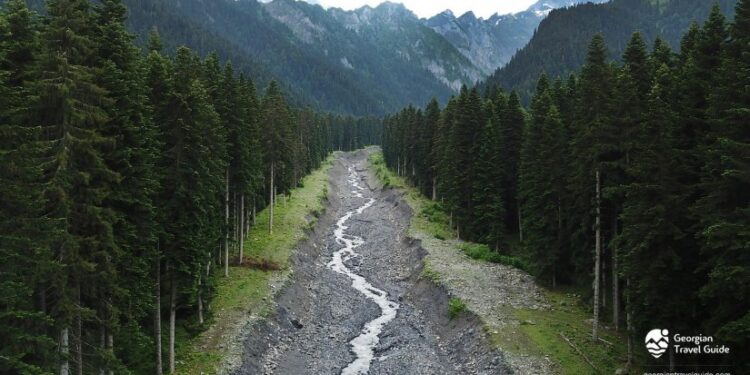 „ნუ შეგვიქმნით ისეთ სიტუაციას, რომ გვრცხვენოდეს იმისი თქმა, სად ვცხოვრობთ… მიეცით ჩვენს შვილებს უფლება, გაიზარდონ შოვში“ – ემოციური მიმართვა