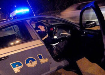 იტალიაში საქართველოს 8 მოქალაქე დააკავეს