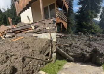 კარგი ამბავი! მეწყერში მოყოლილი ყველა პირი ცოცხალია და ისინი კონტაქტზე იმყოფებიან