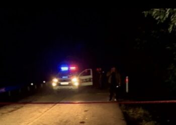 შოვში მაშველებმა ტყეში რამდენიმე ადამიანი იპოვეს – მოქალაქეები მაშველებთან ერთად ღამით ტყეში დარჩებიან