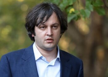 ფოტოს გადაღებამდე ორი წუთით ადრე, ამ კაცს ელაპარაკებოდა შალვა პაპუაშვილი 15 წუთის განმავლობაში, დაინახა, მაინც გააკეთა – კობახიძე