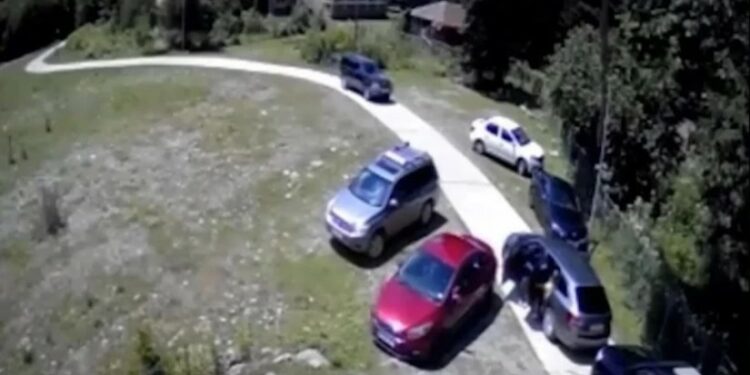 როგორ დატოვა კალაძის ოჯახმა შოვი სტიქიამდე – კადრები