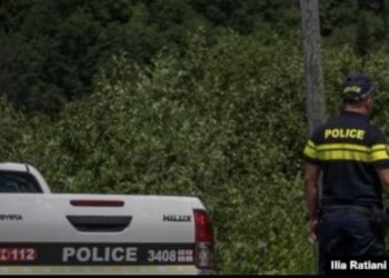 პოლიციელი, რომელიც შოვში მუშაობდა, შეუძლოდ გახდა და გარდაიცვალა