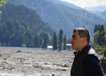 მოხალისეების ჩართულობის აუცილებლობა არ იყო – პაპუაშვილი შოვზე