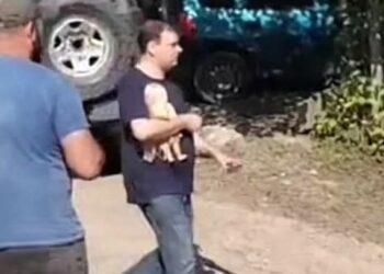 „ღმერთო, ხომ ხარ ღმერთი? აი, ამ კაცის შველას გთხოვ… იქნებ „გაუცოცხლო” ეგ თოჯინა?” – ჟურნალისტის ემოციური პოსტი