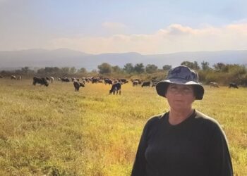 “70 ძროხას ვწველი და რძეს ვაბარებ, 70 ქათამი მყავს, ვამუშავებ მიწას…” – გაიცანით 63 წლის თიანეთელი ქალი, რომელიც უზარმაზარ მეურნეობას უძღვება