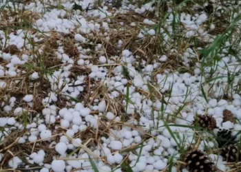 “კახეთში მოსული უხვი ნალექის დროს, გასროლილია 423 ერთეული რაკეტა, მაქსიმუმი გაკეთდა, რომ ზარალი კიდევ უფრო მასშტაბური არ ყოფილიყო” -გიორგი ალადაშვილი