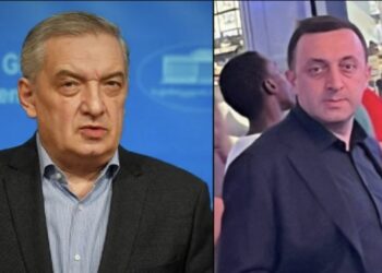 „ღარიბაშვილი იმყოფება აშშ-ში, არ იმყოფება ბოტოქსის გასაკეთებლად, ისე როგორც პრეზიდენტი სააკაშვილი იმყოფებოდა, ღარიბაშვილი თავის შვილს სახელმწიფო ბიუჯეტის ხარჯზე არ ასწავლის…ისეთივე ადამიანია, როგორც ჩვენ ვართ“ – გია ვოლსკი