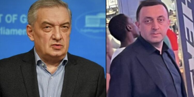 „ღარიბაშვილი იმყოფება აშშ-ში, არ იმყოფება ბოტოქსის გასაკეთებლად, ისე როგორც პრეზიდენტი სააკაშვილი იმყოფებოდა, ღარიბაშვილი თავის შვილს სახელმწიფო ბიუჯეტის ხარჯზე არ ასწავლის…ისეთივე ადამიანია, როგორც ჩვენ ვართ“ – გია ვოლსკი