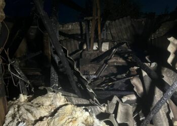 ვეჯინში, მკვლელობისთვის დაკავებულ 85 წლის კაცს შვილიშვილმა ფერმა გადაუწვა