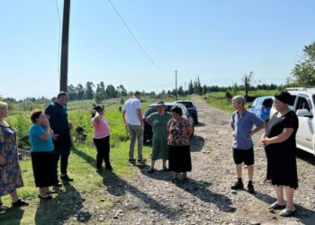 ხონის მუნიციპალიტეტის ერთ-ერთი სოფლიდან 5 კამეჩი მოიპარეს