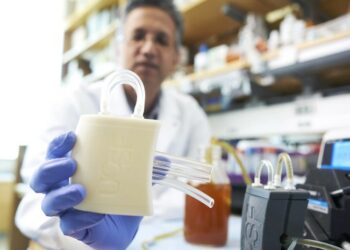 მეცნიერებმა ხელოვნური თირკმელი შექმნეს