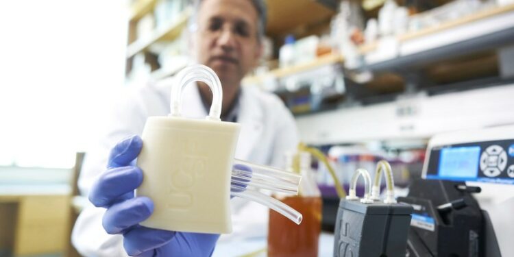 მეცნიერებმა ხელოვნური თირკმელი შექმნეს