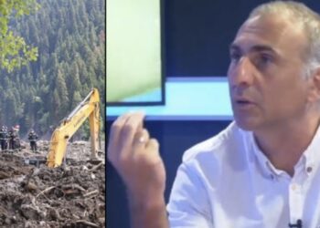 „ამ კომისიას იმიტომ ვუჭერ მხარს, რომ არ მისკდებოდეს გული ჩემი ოჯახის სადმე დასასვენებლად გაშვებისას, რაღაც არ მიუვარდეთ და იქით არ დამაბრალოს ხელისუფლებამ რატომ გაუშვიო“ – ალეკო ელისაშვილი