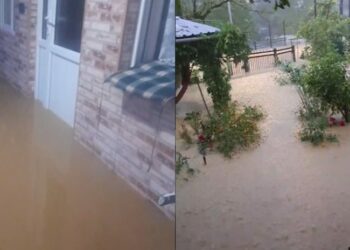 სტიქია გურიაში: 3 პირს, მათ შორის 2 არასრულწლოვანს ეძებენ – შსს