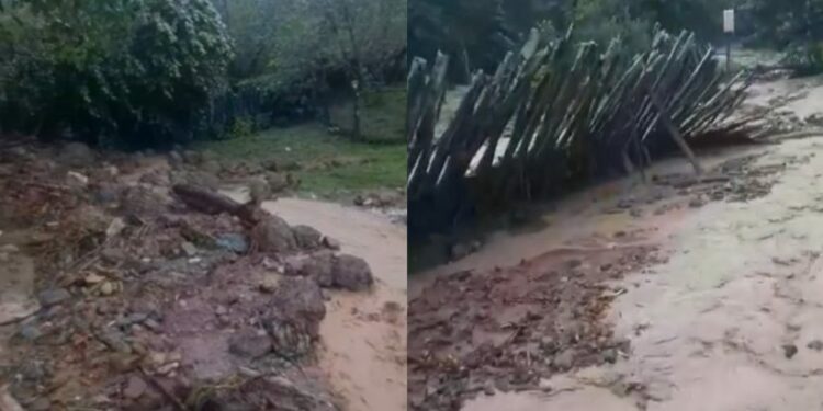 ბავშვს ვეძებთ, რომელიც სახლში იყო და ეს სახლი მიწაში დაიმარხა – ლანჩხუთის მერი სტიქიაზე