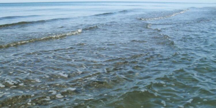 გრიგოლეთში, ზღვამ ადამიანის ცხედარი გამორიყა