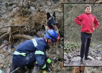 ,,სხვები გადაარჩინა… არ იცოდა, მაგრამ ხომ გადაარჩინა… გმირია – არც ეს იცოდა, მაგრამ გმირია…” – რას წერენ გურიაში ტრაგიკულად დაღუპულ ბიჭზე