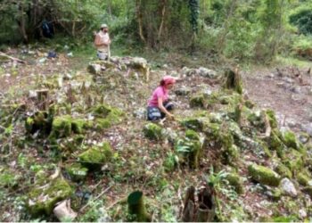 არქეოლოგებმა სამეგრელოში შუასაუკუნეების პერიოდის ეკლესია აღმოაჩინეს