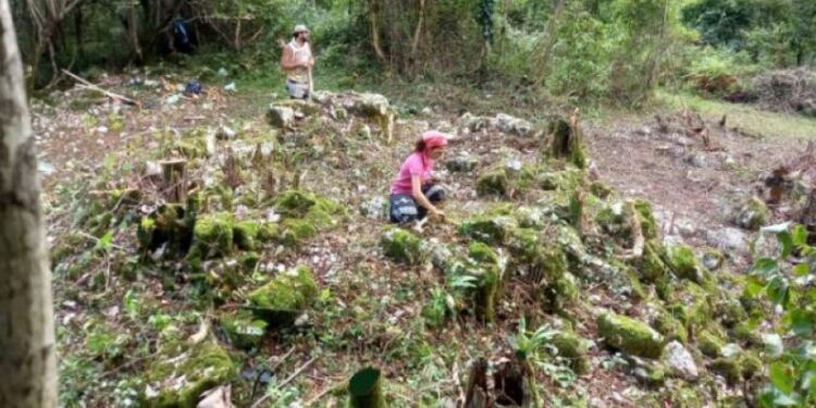 არქეოლოგებმა სამეგრელოში შუასაუკუნეების პერიოდის ეკლესია აღმოაჩინეს
