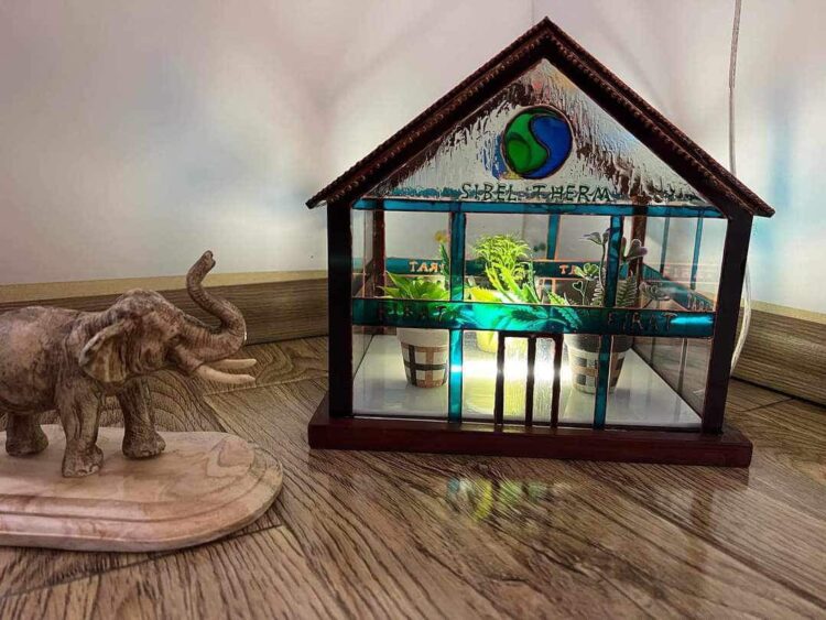 „შუშაზე ხატვა, ჯერჯერობით, საქართველოში ფართოდ გავრცელებული არ არის“ – თამუნა ლორია