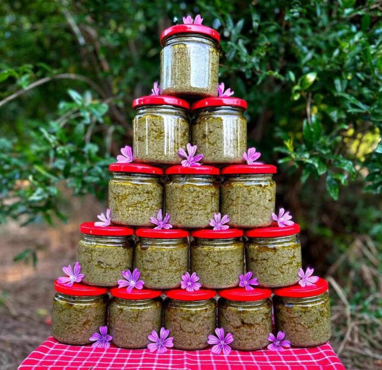 ტარხუნის პესტო – 100 %-ით ნატურალური პროდუქტი ბიო მეურნეობა „კაია“-სგან