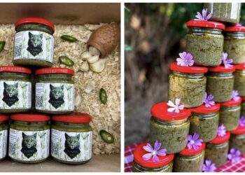 ტარხუნის პესტო – 100 %-ით ნატურალური პროდუქტი ბიო მეურნეობა „კაია“-სგან