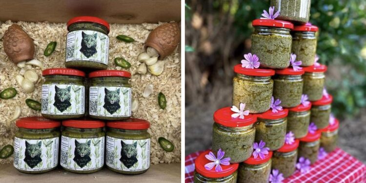 ტარხუნის პესტო – 100 %-ით ნატურალური პროდუქტი ბიო მეურნეობა „კაია“-სგან