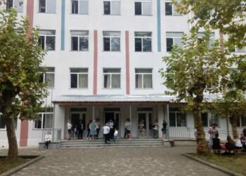 “მოსწავლეს თმაზე მოქაჩა” – ქობულეთის სკოლიდან მასწავლებელი დაითხოვეს