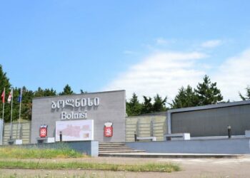 გავრცელებული ინფორმაციით, ბოლნისში მერვე კლასელმა ბავშვი გააჩინა