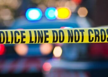 რუსთავში დააკავეს 22 წლის გოგო, რომელიც დას ფიზიკურად გაუსწორდა