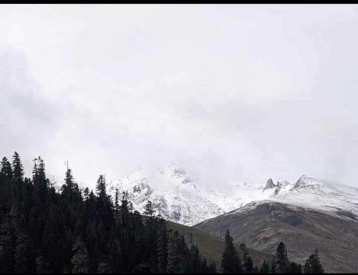 „ციცას“ საწუწნები – სახალისო ფორმები, რომლებიც სურდოსა და ყელის ტკივილს კურნავს
