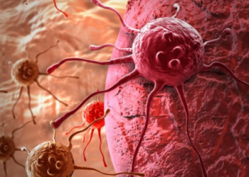 ახალმა ქიმიოთერაპიამ ცხოველებში მყარი სიმსივნეები გაანადგურა