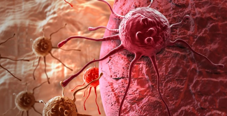 ახალმა ქიმიოთერაპიამ ცხოველებში მყარი სიმსივნეები გაანადგურა