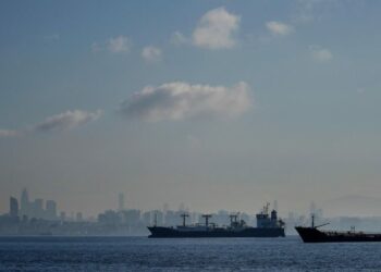 თურქული სატვირთო გემი, რომელზეც 12 ადამიანი იმყოფებოდა, შავ ზღვაში ჩაიძირა | Reuters