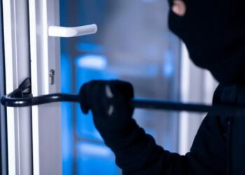 საფრანგეთში ქართული კრიმინალური დაჯგუფების წევრები დააკავეს