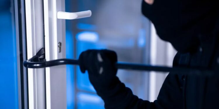 საფრანგეთში ქართული კრიმინალური დაჯგუფების წევრები დააკავეს