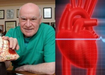 7 ფაქტორი, რომელიც ჩვენს გულს ანადგურებს. ლეო ბოკერია გვასწავლის, როგორ დავიცვათ თავი