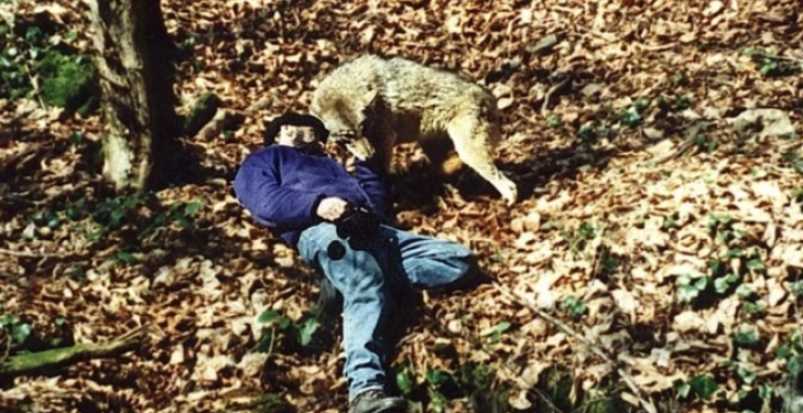 „წარმოუდგენელი სანახაობაა მგლის წყვილის თვალის დევნება… მათი ქორწინება ერთხელ და სამუდამოდ ხდება“ – კაცი, რომელიც მგლებთან ერთად ცხოვრობს