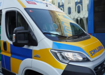 გურიაში, ძაღლის მიერ დაკბენილი ერთ-ერთი მცირეწლოვანი მძიმე მდგომარეობის გამო თბილისში გადმოჰყავთ