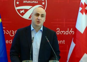 ნიკა მელიამ „ნაციონალური მოძრაობა“ დატოვა