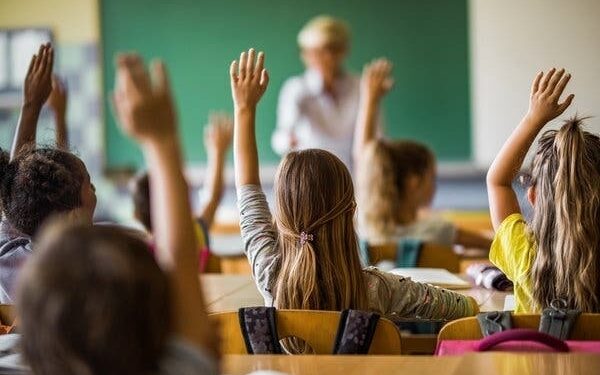 გაუქმდა საკლასო, საშინაო, შემაჯამებელი დავალებები და სკოლები თავად შექმნიან შეფასების სისტემას – ცვლილებები ეროვნულ სასწავლო გეგმაში