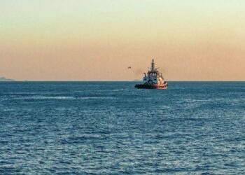 რუმინეთში გემიდან ქართველი მეზღვაური გადავარდა და დინებამ გაიტაცა