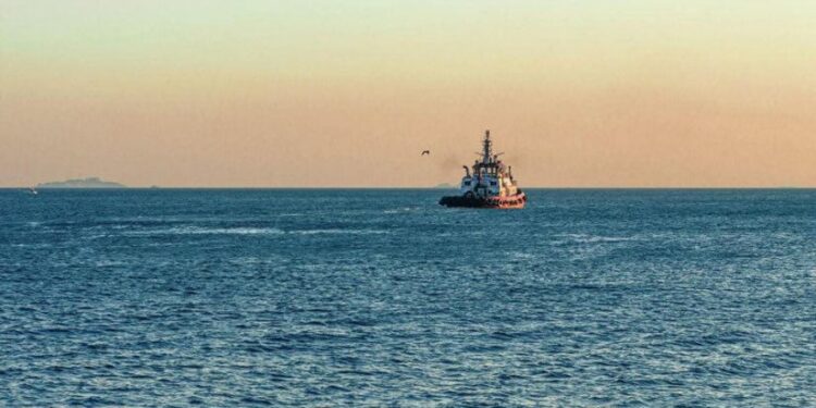 რუმინეთში გემიდან ქართველი მეზღვაური გადავარდა და დინებამ გაიტაცა